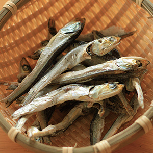 濃厚塩とんこつ